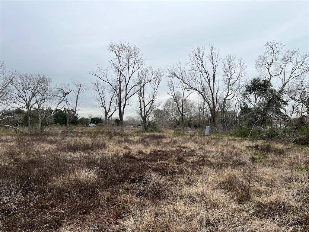 This is taken from near the middle of the lot, looking toward the street.