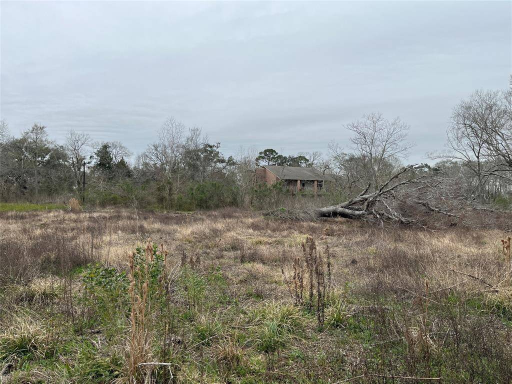 This is taken from near the middle of the lot, looking back toward the old house.
