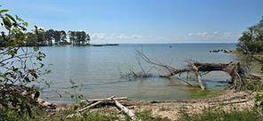 View fp Lake Livingston