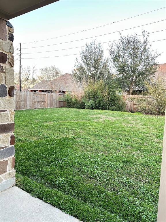 Back Yard.