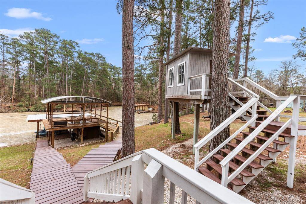 Steps to the tree house