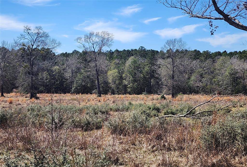 Beautiful Hwy 190 W Frontage Property