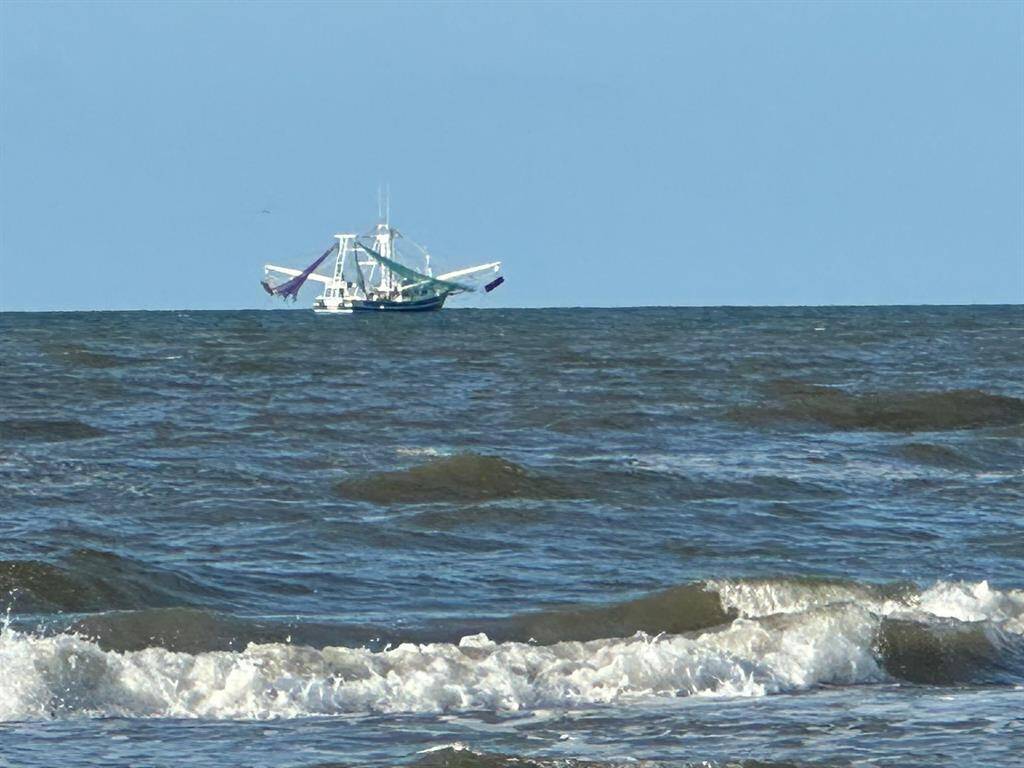 Shrimp boats in your back yard