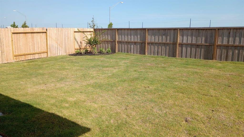 Rear Yard.