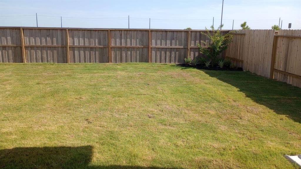 Rear Yard.