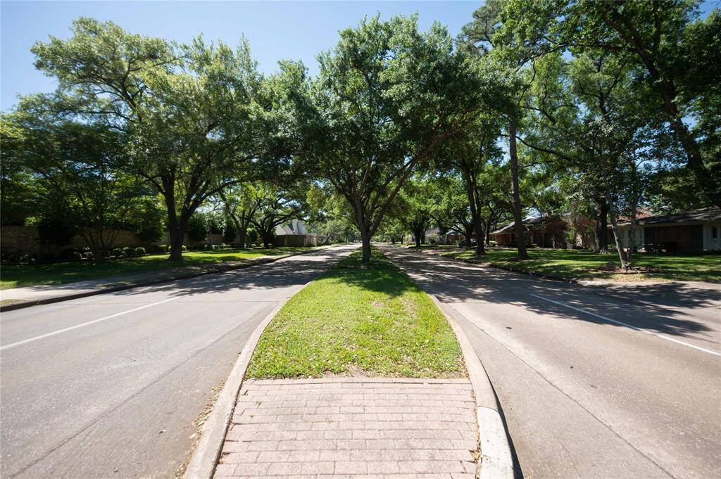 Beautiful treelined street.