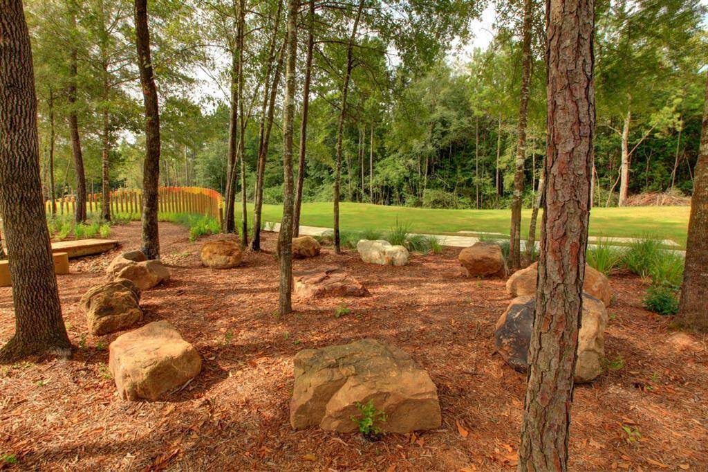 Walking Trail