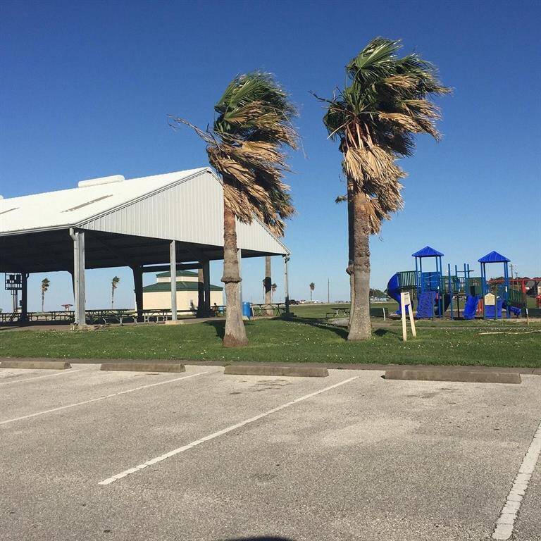 LOCAL BAYSHORE PARK