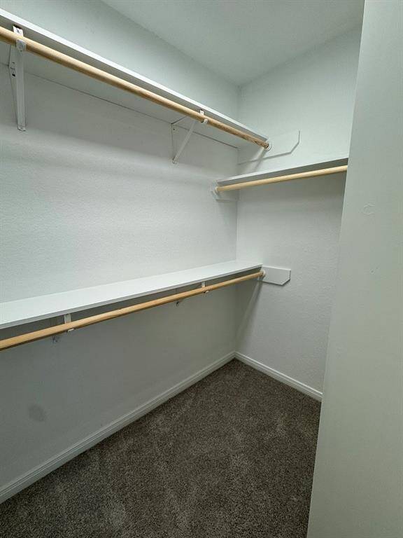 Primary walk-in closet