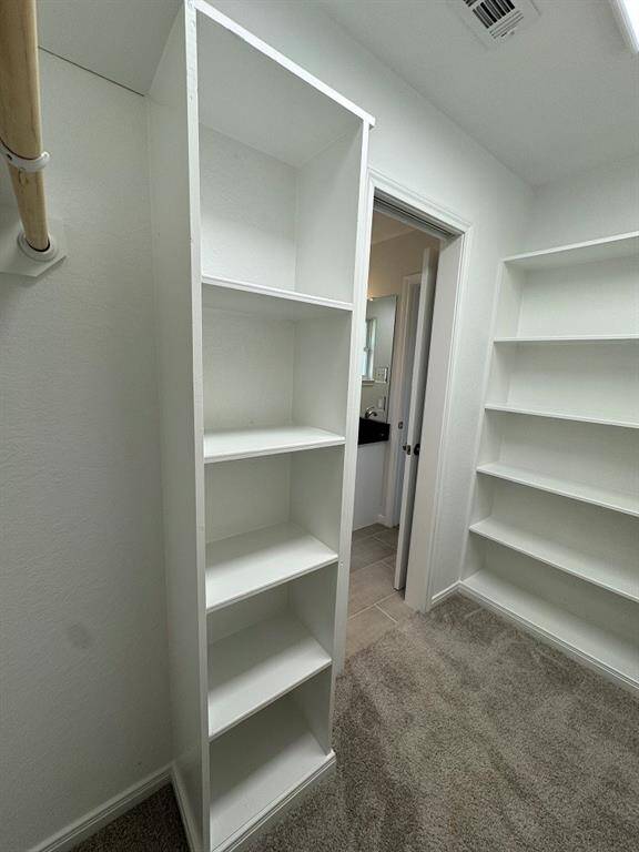 Primary closet built-ins