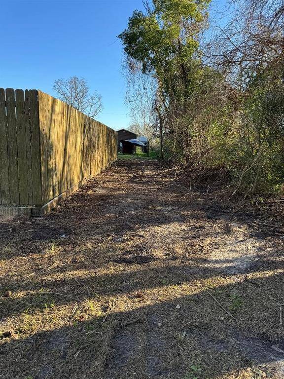 Cleared area behind privacy fence (included in the survey)