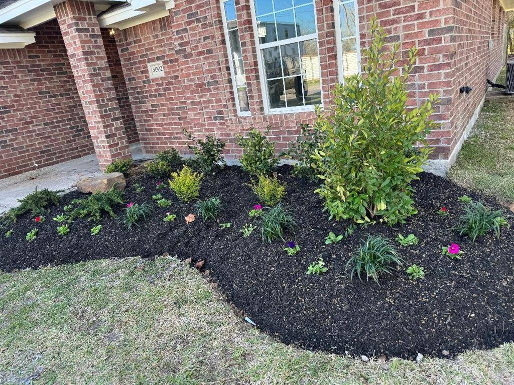 Fresh landscaping