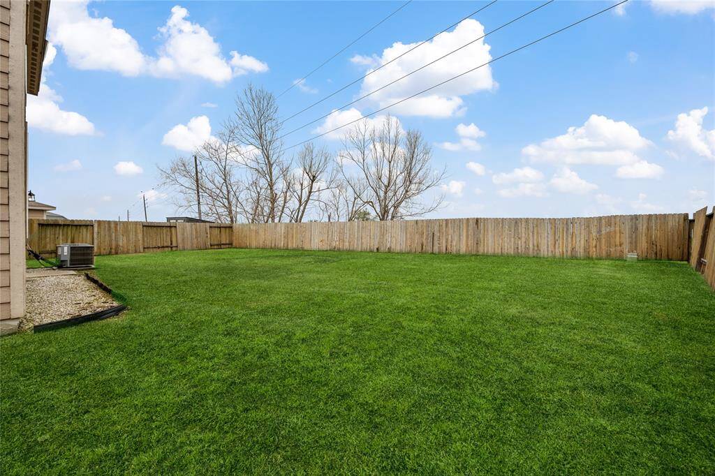 Back yard
