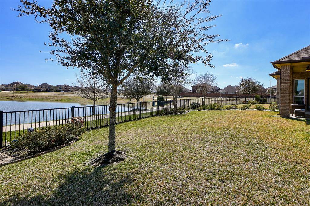 Lots of backyard space