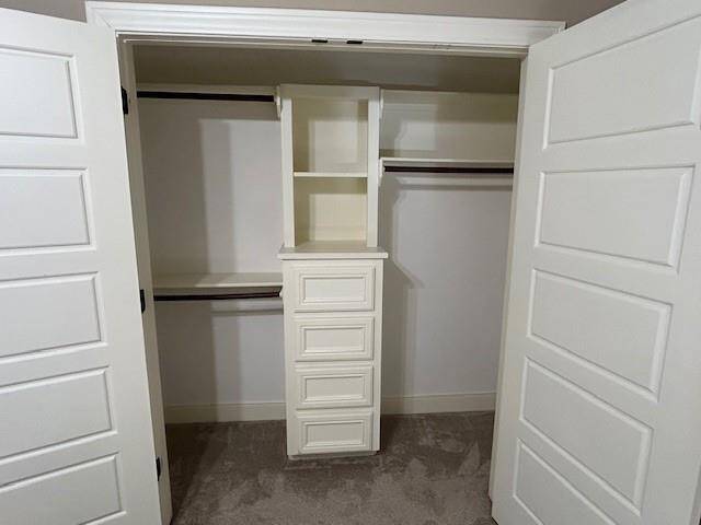 Closet buildout in Bedroom #2