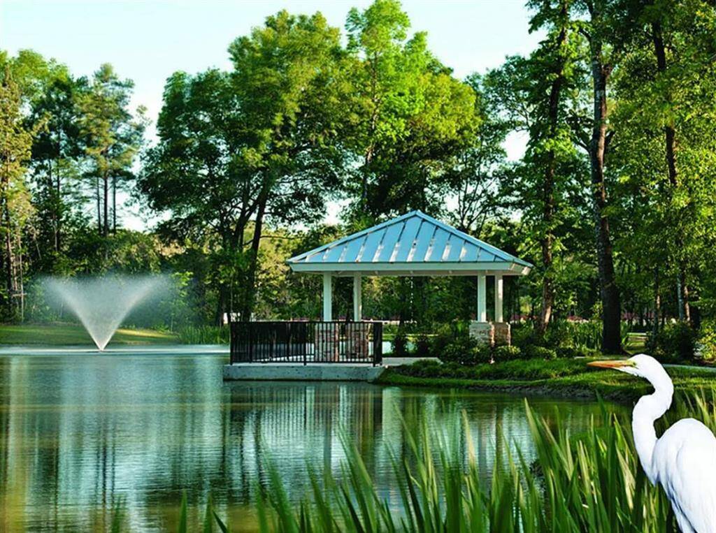 Serenity pond in the neighborhood