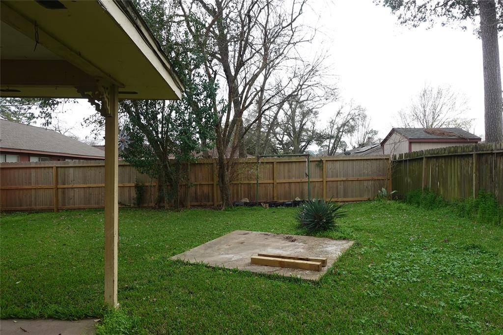 Spacious backyard with lush greenery, perfect for relaxation and outdoor activities.