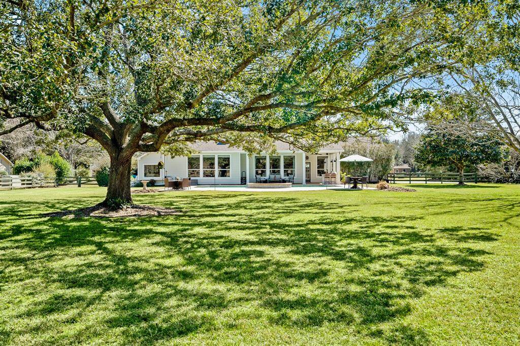 This majestic live oak stretches out across much of the Backyard, providing an ideal place to house a playset or play a game of catch.