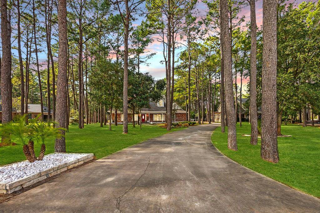 Experience a charming entrance lined with majestic pine trees.