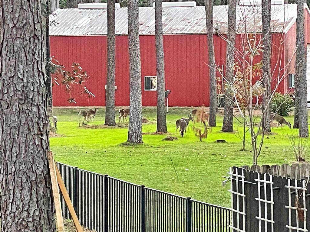 One of the best features of the property is the wildlife  that roams freely in the community