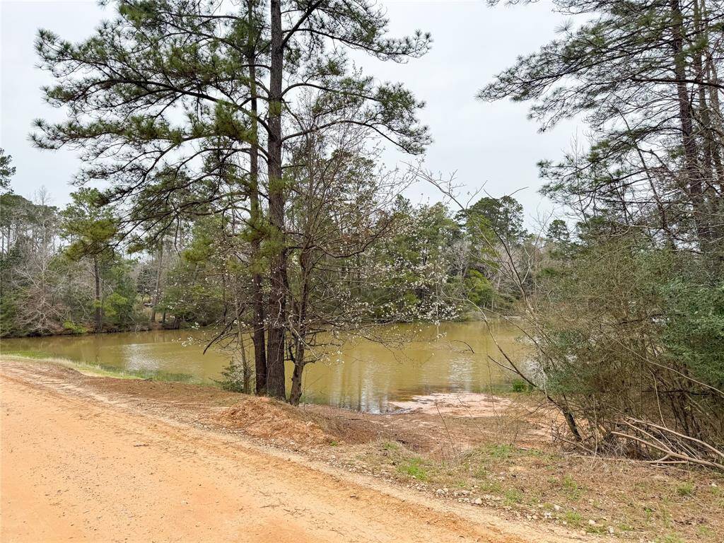 View from back yard- Lake connie jean is across the street.