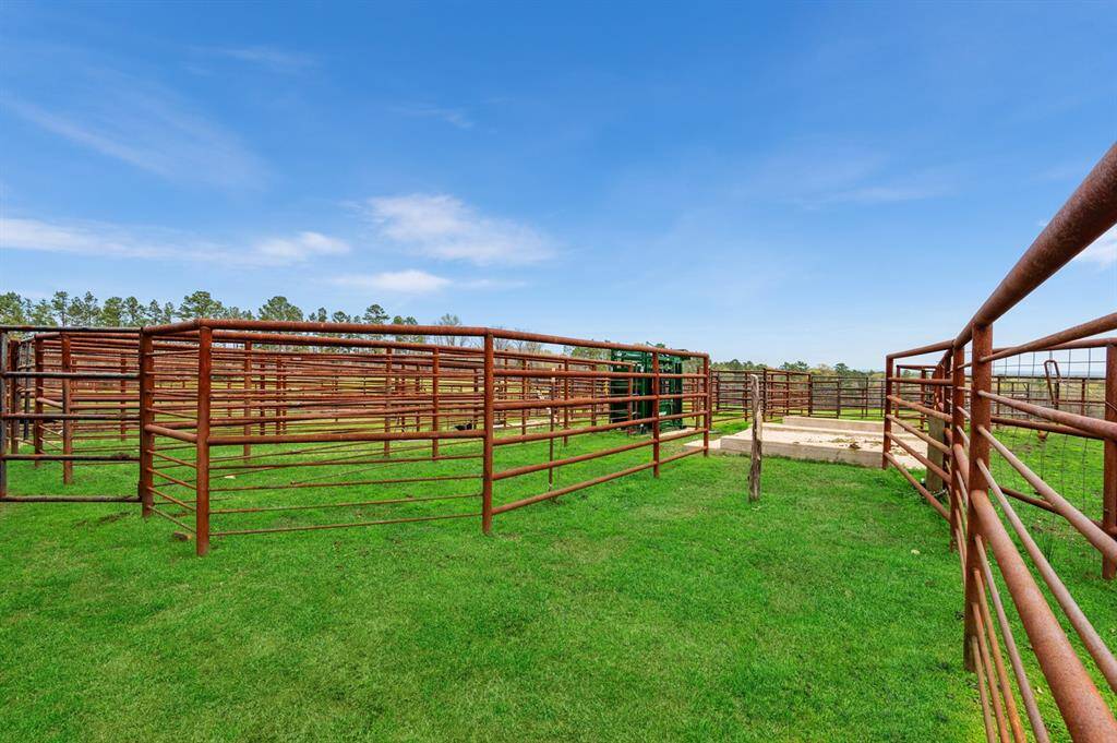 Cattle Pens