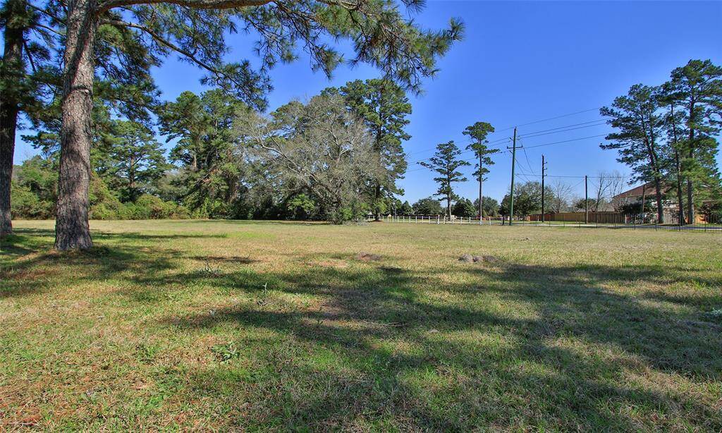 Beautiful 4 acre tract has  mature trees.
