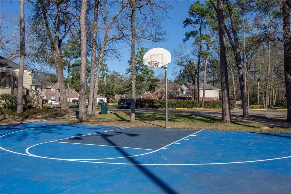 Community amenities. Basketball court.