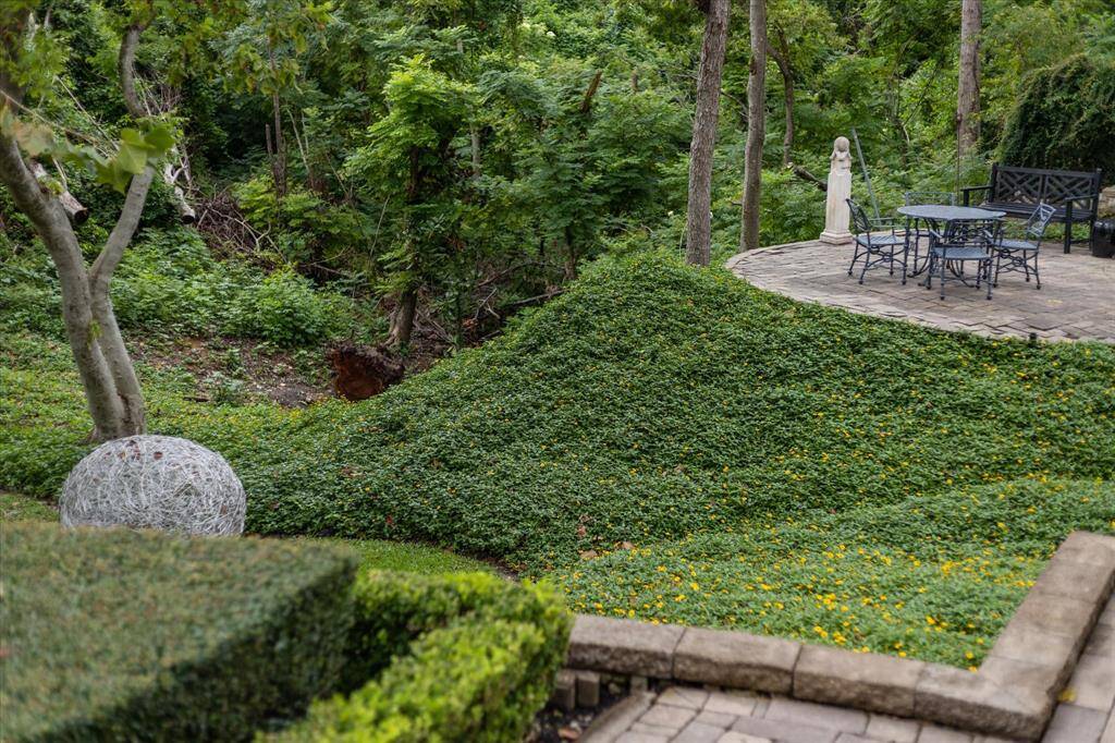The dining pavilion is surrounded by natural beauty.