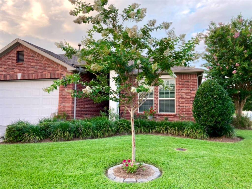 This picture from the summer shows the crepe myrtles in bloom!