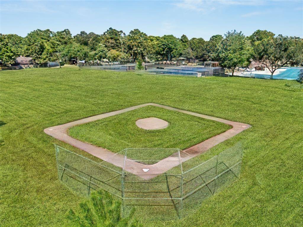 Play Ball!
