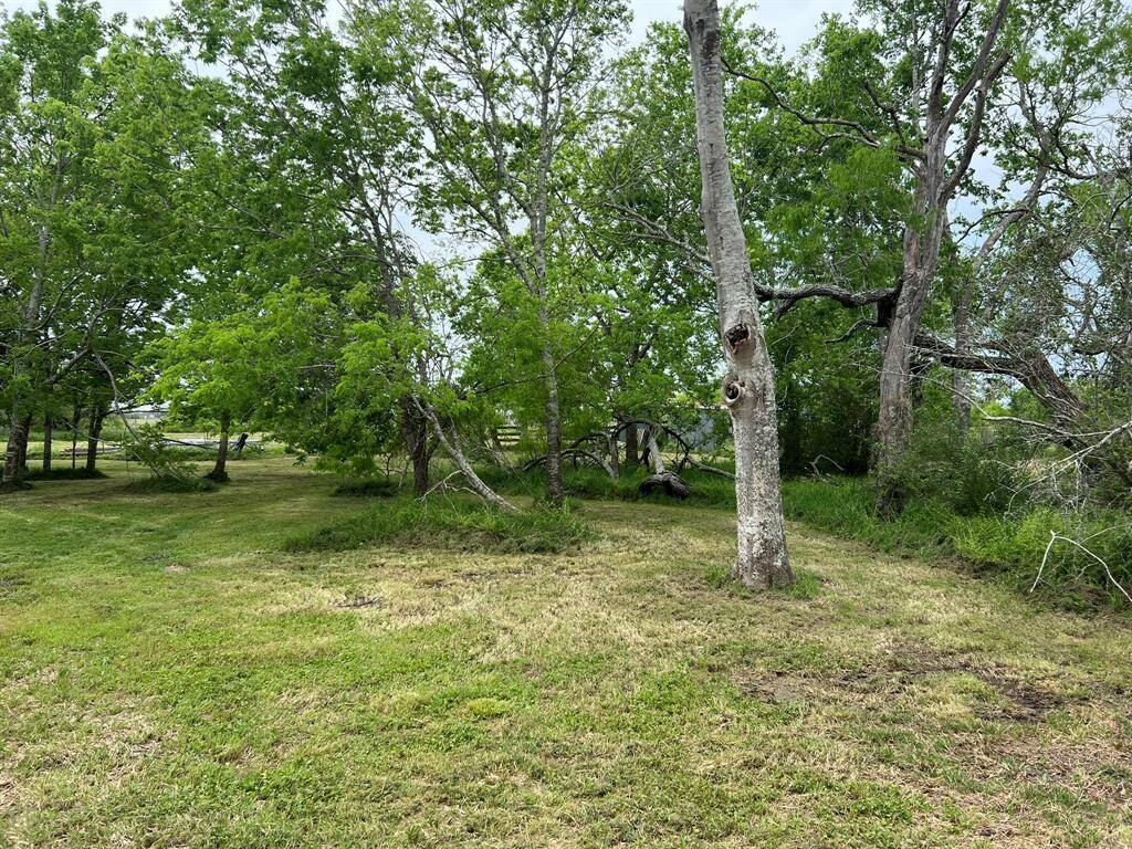 Property Image 48
