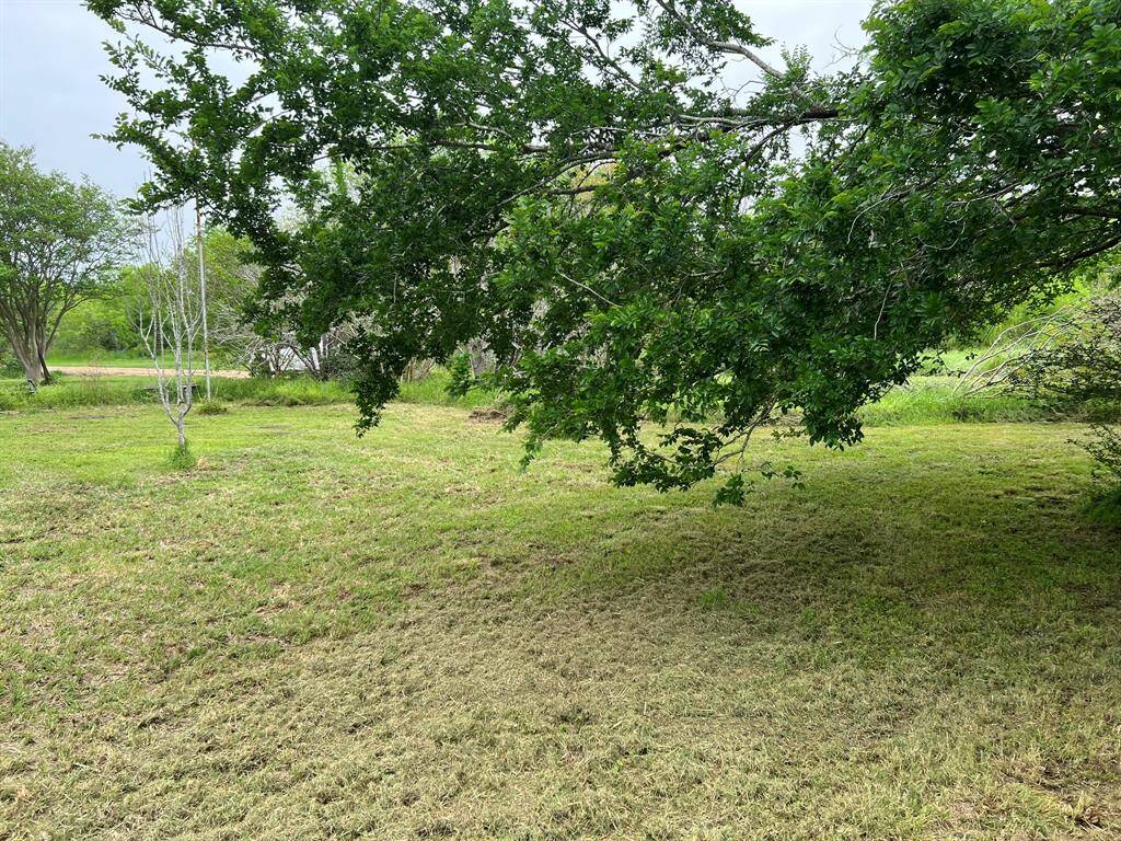 Property Image 49