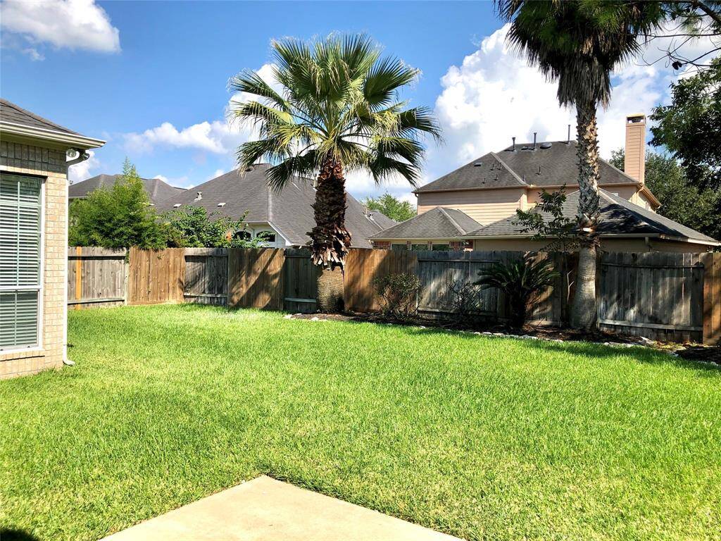A nice backyard framed by beautiful palm trees!!