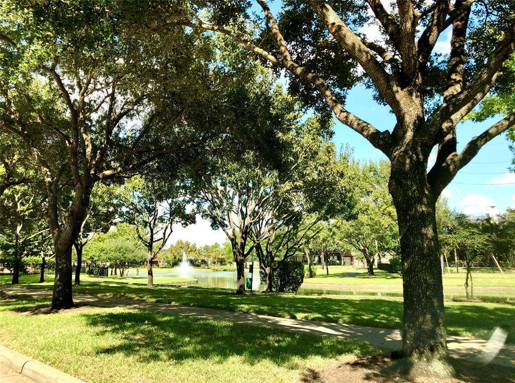 The beautiful trails offer a nice relaxing view on your walks.