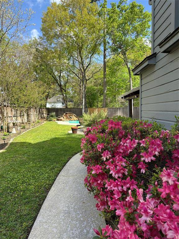 this backyard is amazing
