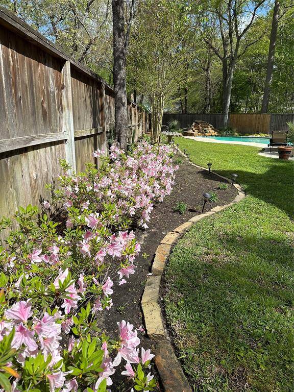 gorgeous backyard