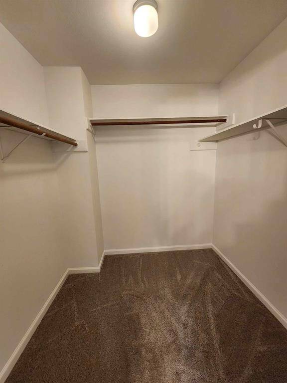 Primary bedroomwalk-in closet