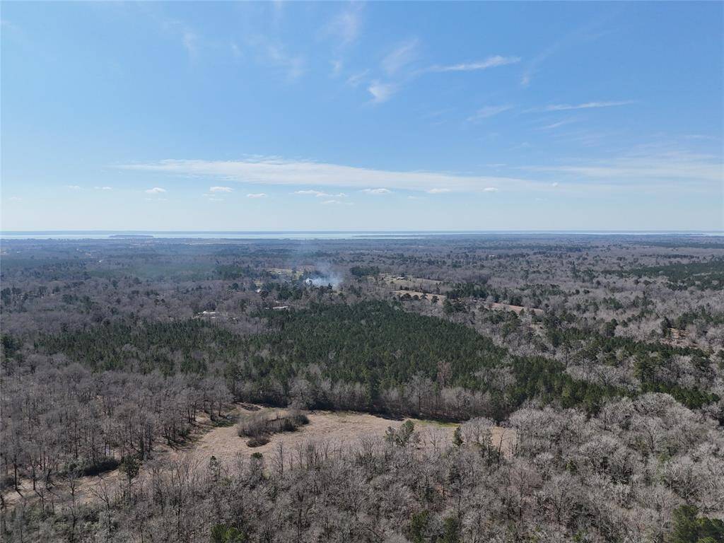 Minutes from Lake Livingston!