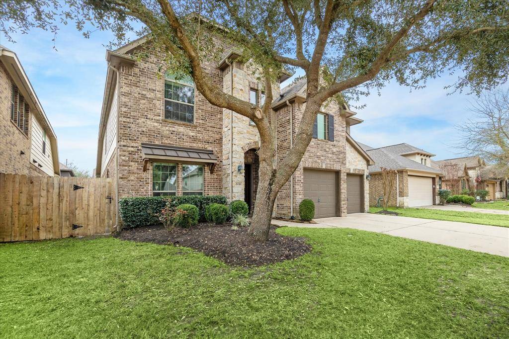 Gorgeous Mature Tree with sprinkler system