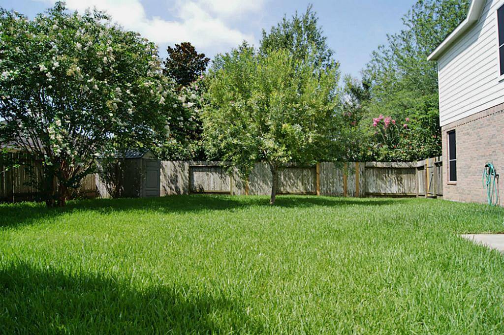 BACK YARD VIEW