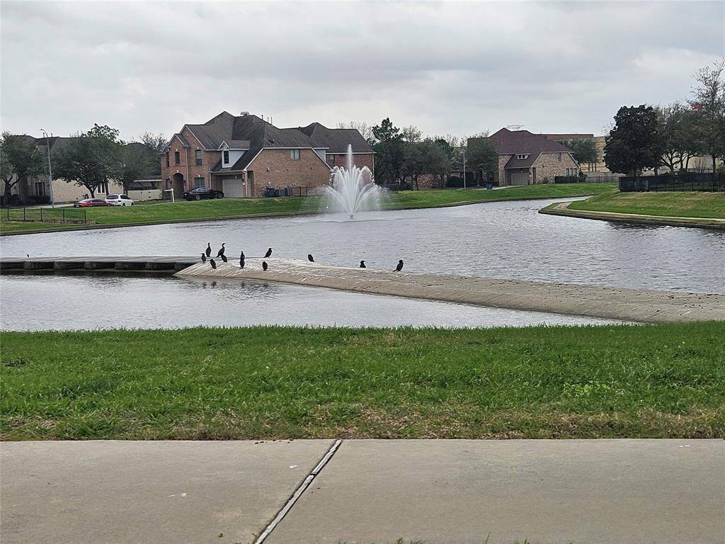 Park Lakes w/ducks gathering