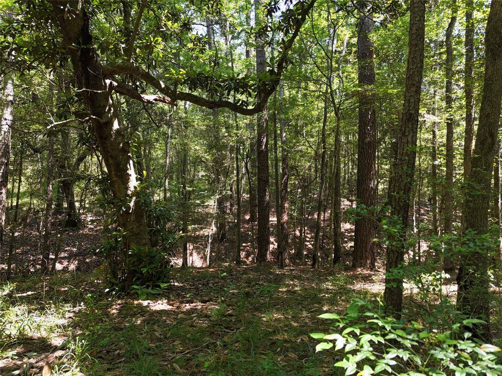 BEAUTIFUL ACREAGE  WITH LOTS OF WILDLIFE
