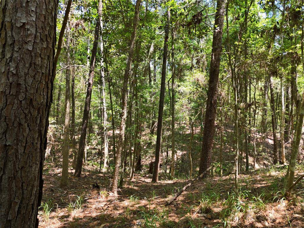 BEAUTIFUL ACREAGE  WITH LOTS OF WILDLIFE