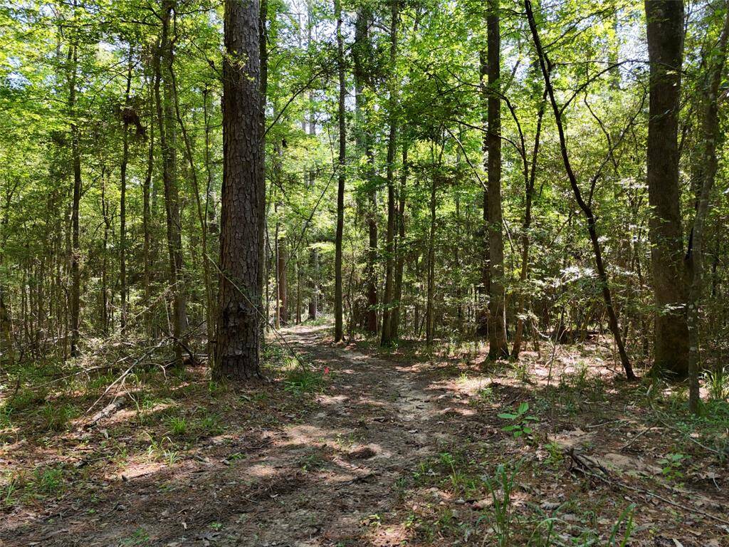 ROADS AND WALK WAYS ON PROPERTY