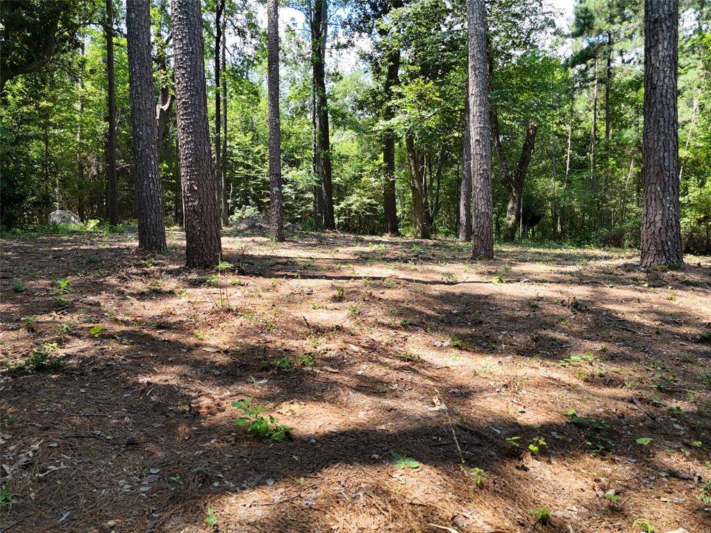 BEAUTIFUL ACREAGE  WITH LOTS OF WILDLIFE