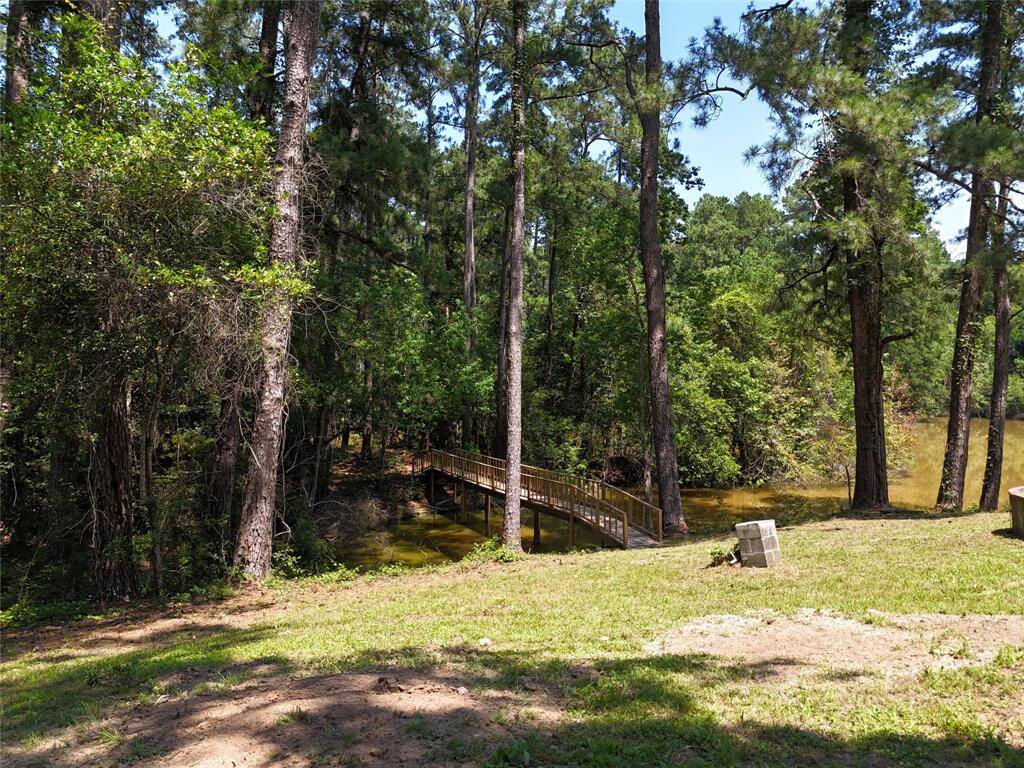 ANOTHER VIEW FROM CABIN