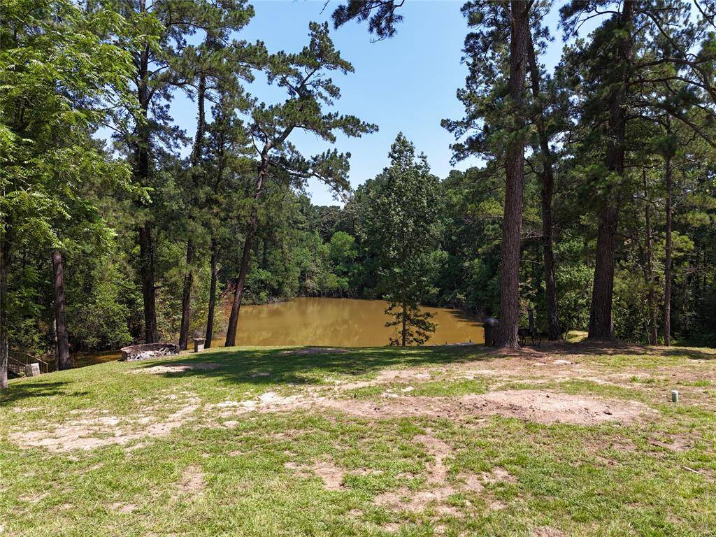 VIEW FROM CABIN