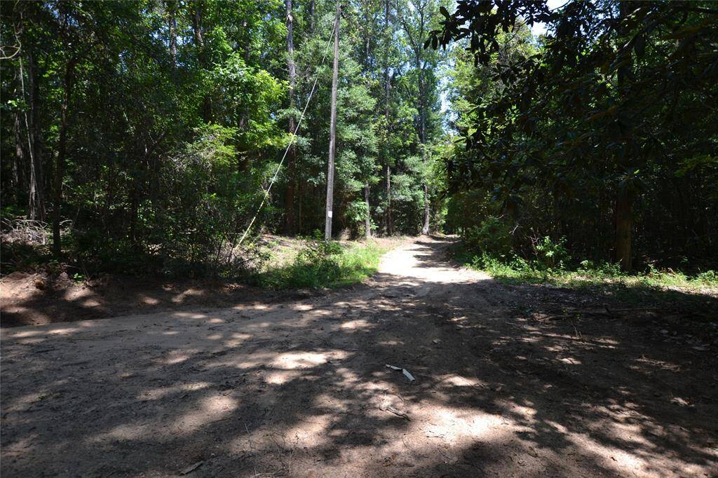 ANOTHER ROAD ONTO THE 14.277 ACRES
