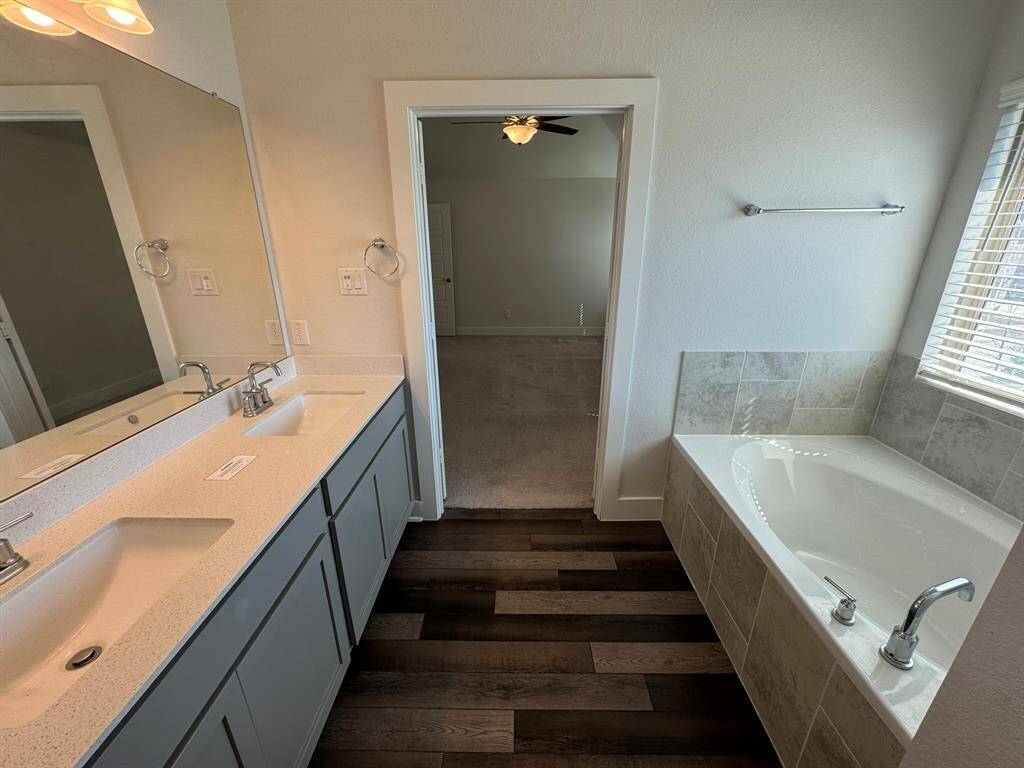 Primary Bathtub
